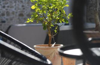 Ruzarica Home - Foto 17