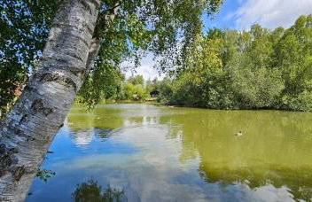 Bunting Lodge, 21 Duck Lake - Foto 5