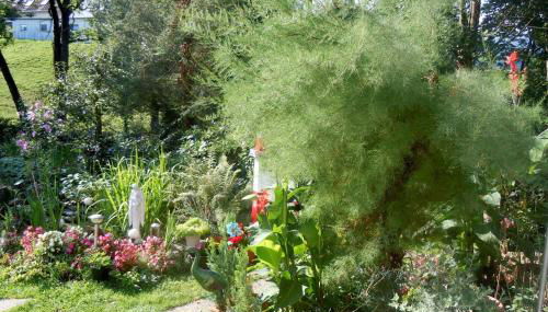 wohnung nr.2 - Foto 4