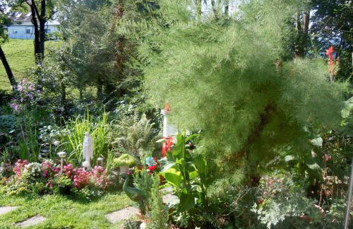 FERIENINSEL AN DER DREISAM - Foto 1