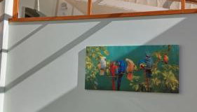 Sweet home No 3 Ferienwohnung Apartment - Foto 4