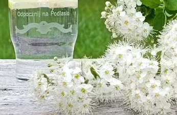 Jałówka - odpocznij na Podlasiu - Foto 17