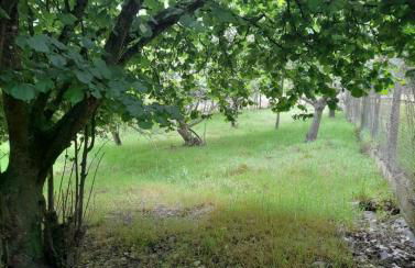 A CASA DOS AVÓS - Foto 28