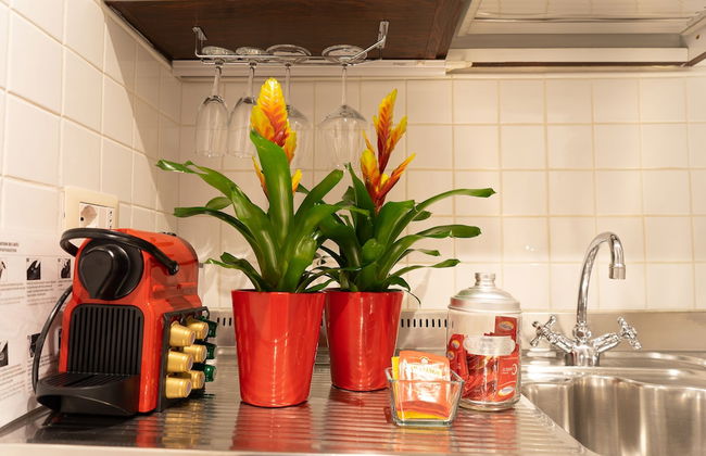 Babuino 79 - Foto 67