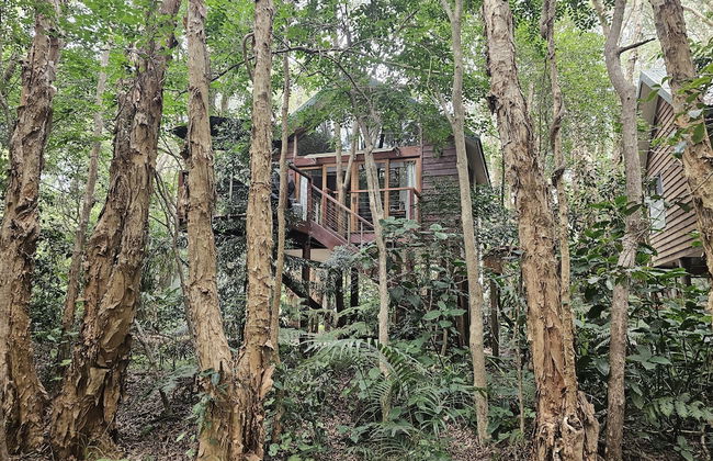 Wanderers Retreat Port Stephens - Photo 27