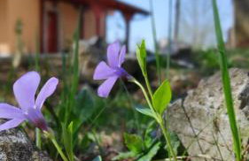 SMARAGD RIVER near Rastoke & Plitvice Lakes - Foto 54