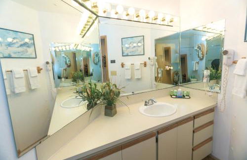 The Grey Gull - Foto 150