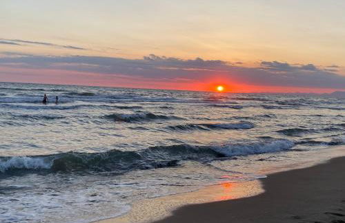 Casagiardino Sofía - Foto 30