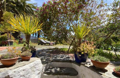 Vivelorural casa La Cuevita, Santa Brígida - Foto 40