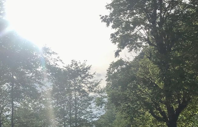 Baraka bungalov - Foto 40