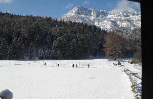 Ferienhaus Gestüt Pfaffenlehen - Foto 42