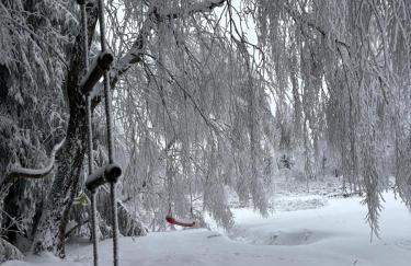 Sowi Sierp Domek w Górach Sowich - Foto 49