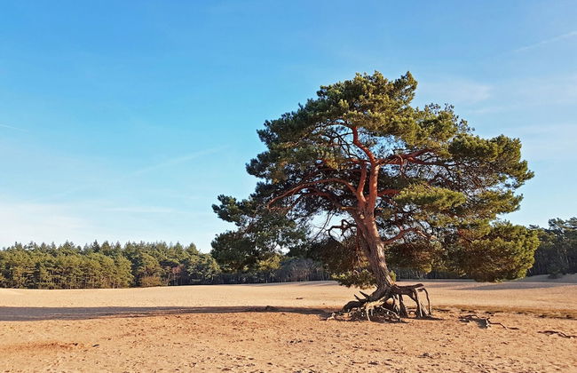 Cozy Holiday Home With a Private Garden - Photo 37