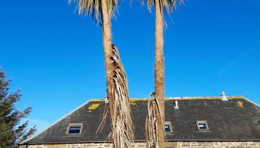 The Granary - Foto 2