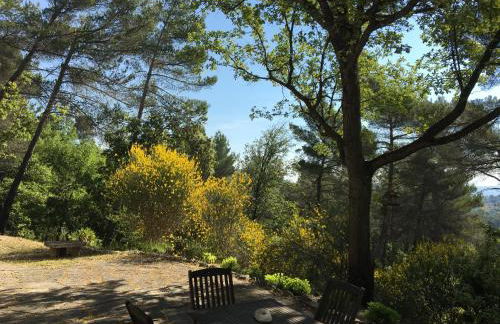 Villa de Carbonelle - Foto 45