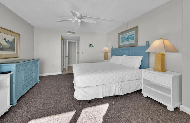 Dunes of Panama 1802e - Foto 2