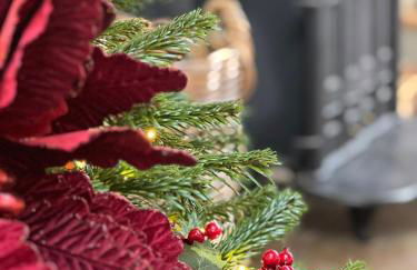 Plover House - Photo 47