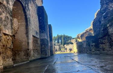 Pisito de la Lola Flores 2 - Foto 37