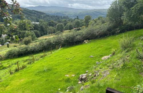 Bluebell Croft - Photo 30