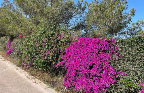 Reel Apartments- Luxury Studio with swimming pool. - Foto 43