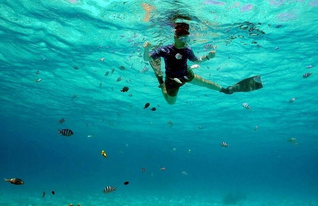 South Point Villas - Photo 43