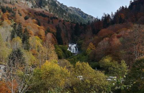 appartement T3 spacieux tout équipé - Foto 8