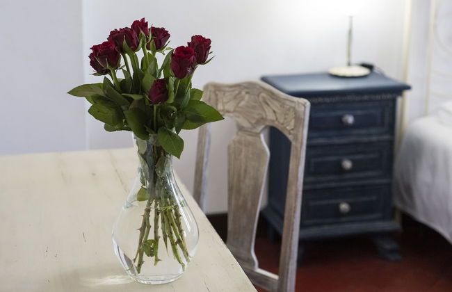 Fattoria Pian di Rocca - Foto 41