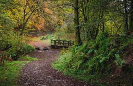 Cape Cottage - Photo 29