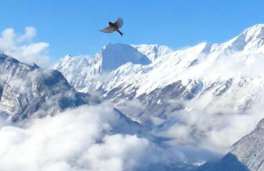 Chalet Lodge Oberig Exclusive - Foto 48