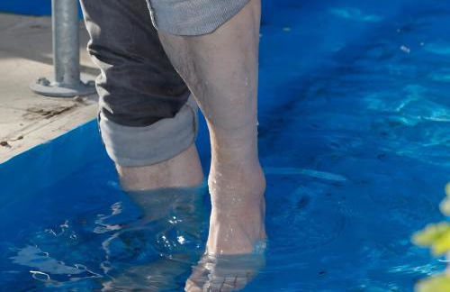 Paradies Im Schwarzwald - Foto 8