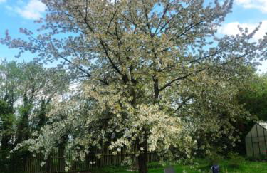 Haus Falkenhof - Foto 20