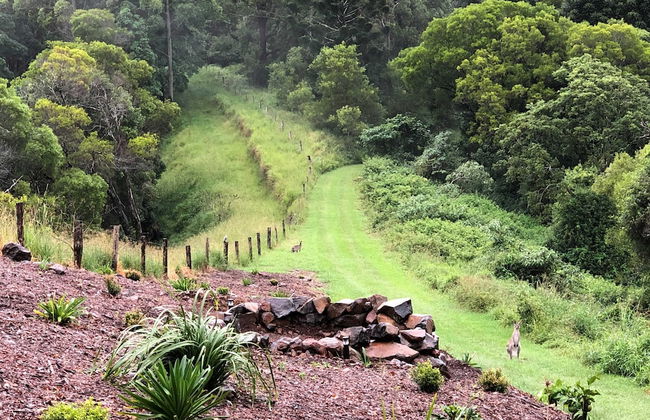 The Ridge at Maleny - Photo 44