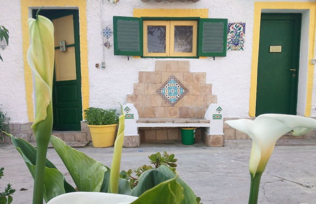 Zagara di Sicilia - Foto 64