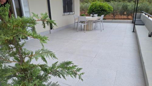 Orange Tree - Photo 3