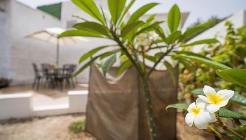 Casa Rural da Eva - Foto 4, Garden