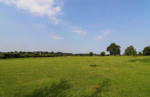 The Shires at Bickerscourt - Foto 29