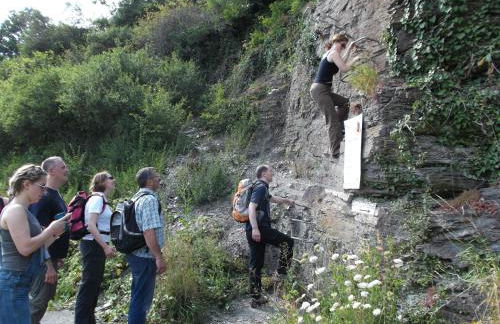 Haus Brandenburg an der Mosel - Foto 8
