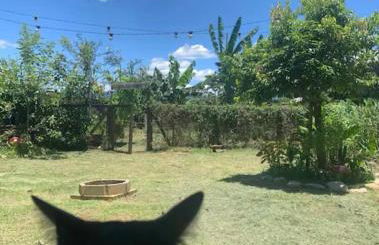 EcoHouse - 12 min to Downtown - Photo 20