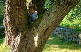 Yr Hen Siop - 4 bed welsh cottage in Snowdonia - Foto 21