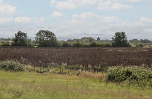 Cherry Tree House - Foto 33