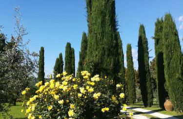 Agriturismo La Scarpaia - Foto 16