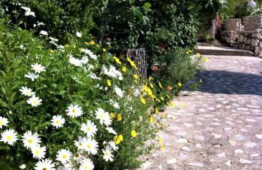 Studio Dolores-apartment by the sea - Foto 15