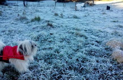 Turismo Rural Macieira Brava - Foto 39