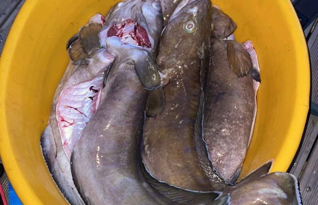 7 Person Holiday Home in Huglo-by Traum - Foto 5