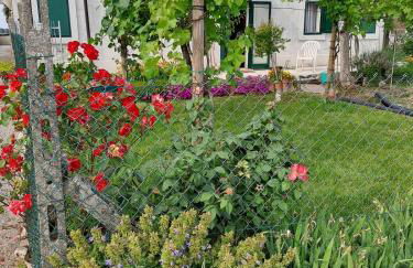 a casa di nonna Tarsilla-entire apartment,5 guests - Foto 41