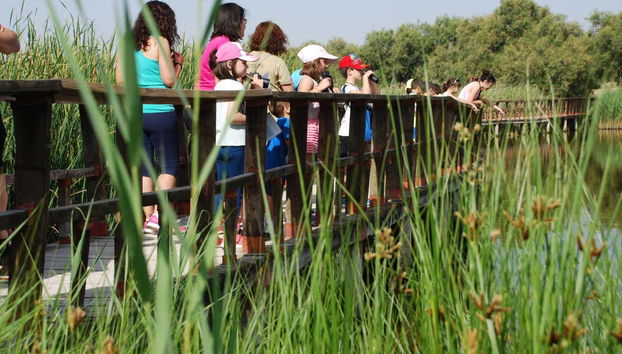 Recorreremos el sistema de pasarelas de madera