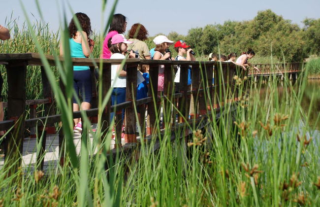 Senderismo por las Tablas de Daimiel - Foto 3