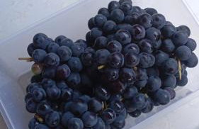 nao existe mais - Foto 1