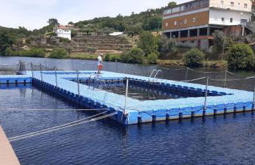 Serra da Estrela - Casa Castro - Foto 18