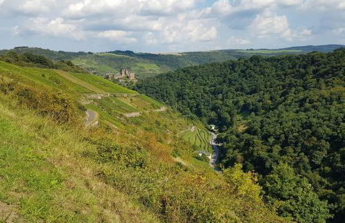 Rhine Pearl Hideaways - Foto 22